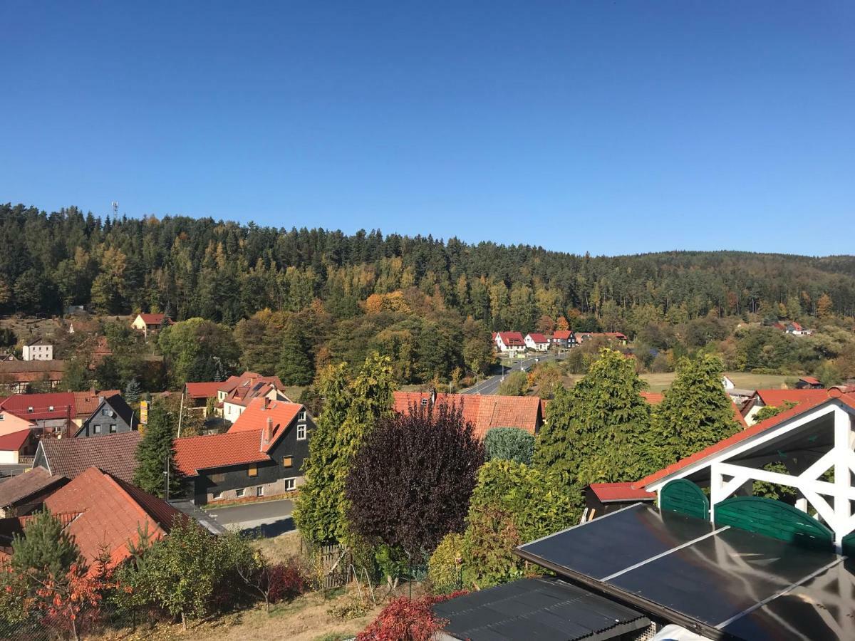 Ferienhaus zur Waldauer Höhe mit 3 SZ, 120qm&40qm Balkon Schleusingen Exterior foto